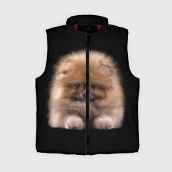 Женский жилет утепленный 3D Рыжий Шпиц