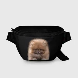 Поясная сумка 3D Рыжий Шпиц