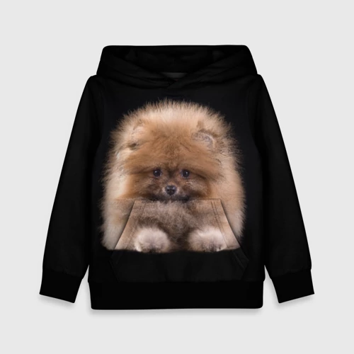 Детская толстовка 3D с принтом Рыжий Шпиц, вид спереди #2