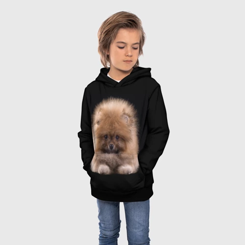 Детская толстовка 3D с принтом Рыжий Шпиц, фото на моделе #1
