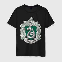 Coat of Slytherin