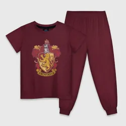 Coat of gryffindor
