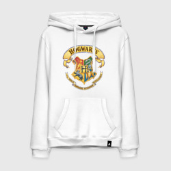 Coat of Hogwarts