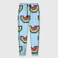 Мужские брюки 3D Пиксельный арбуз