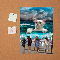 Постер Морской Кошак - фото 2
