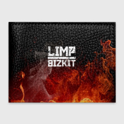 Обложка для студенческого билета Limp Bizkit