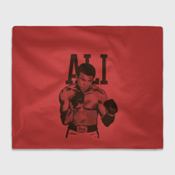 Плед 3D Ali