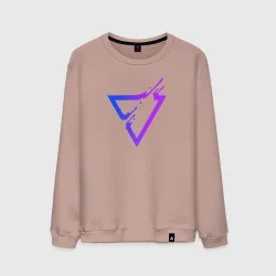 Мужской свитшот хлопок Liquid Triangle