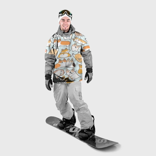Накидка на куртку 3D Корги