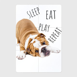 Магнитный плакат 2Х3 Sleep Eat Play Repeat Бульдог