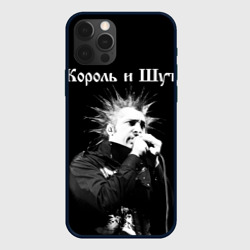 Чехол для iPhone 12 Pro Max Король и Шут + Анархия спина