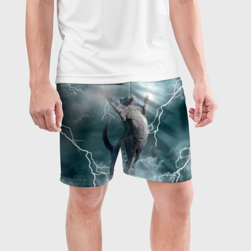 Мужские шорты спортивные с принтом Грозовой кошак, фото на моделе #1
