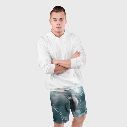 Мужские шорты спортивные с принтом Грозовой кошак, фото #4