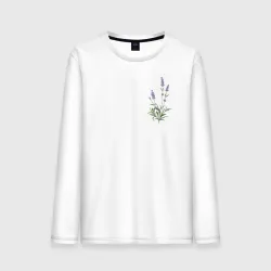 Мужской лонгслив хлопок Lavanda