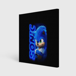 Холст квадратный Sonic