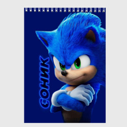 Скетчбук Sonic