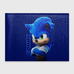 Обложка для студенческого билета Sonic