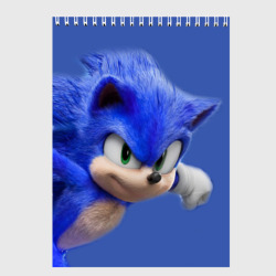 Скетчбук Sonic