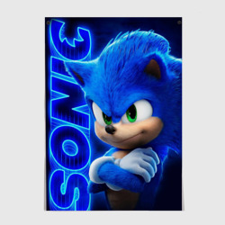 Постер Sonic