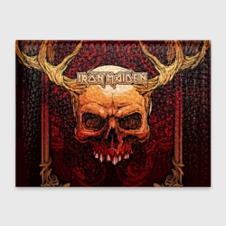 Обложка для студенческого билета Iron Maiden
