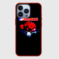 Чехол для iPhone 13 Pro Limp Bizkit