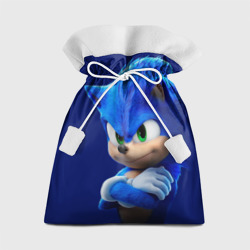 Подарочный 3D мешок Sonic