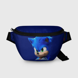 Поясная сумка 3D Sonic