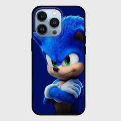 Чехол для iPhone 13 Pro SONIC