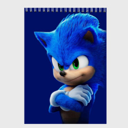 Скетчбук Sonic