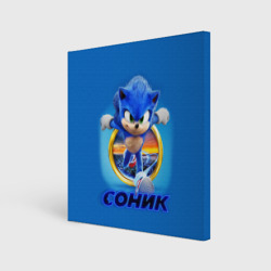 Холст квадратный Sonic