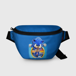 Поясная сумка 3D Sonic