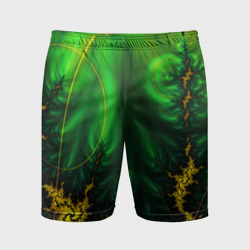 Мужские шорты спортивные Geometry color