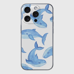 Чехол для iPhone 15 Pro Max силиконовый с защитой камеры Косяк китов