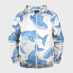 Мужская ветровка 3D Косяк китов