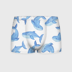 Мужские трусы 3D Косяк китов
