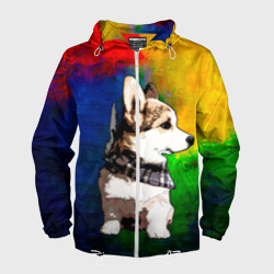 Мужская ветровка 3D Корги