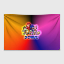 Флаг-баннер Команда Соника