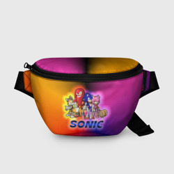 Поясная сумка 3D Команда Соника