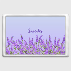 Магнит 45*70 Lavander