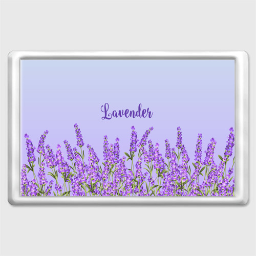 Магнит 45*70 Lavander, цвет прозрачный