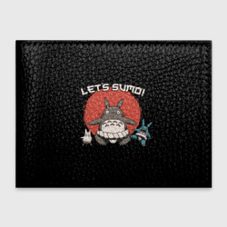 Обложка для студенческого билета Totoro sumo