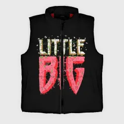 Мужской жилет утепленный 3D Little Big
