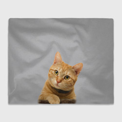 Рыжий котик – Плед 3D с принтом купить со скидкой в -14%