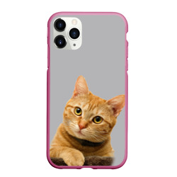 Чехол для iPhone 11 Pro матовый Рыжий котик