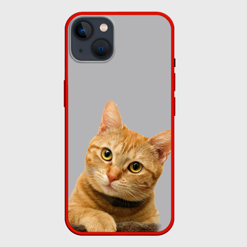 чехол рыжий кот
