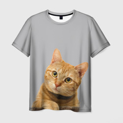 Мужская футболка 3D Рыжий котик