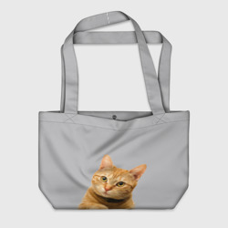 Пляжная сумка 3D Рыжий котик