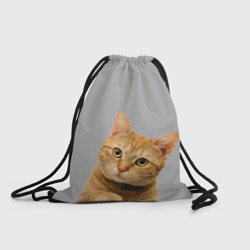 Рюкзак-мешок 3D Рыжий котик