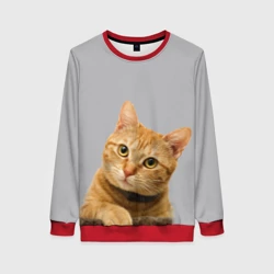 Женский свитшот 3D Рыжий котик