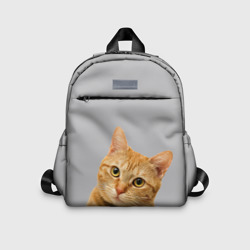 Детский рюкзак 3D Рыжий котик